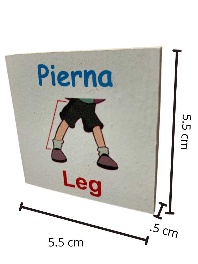 Juego De Memoria De Las partes del cuerpo Bilingüe Ingles Y Español