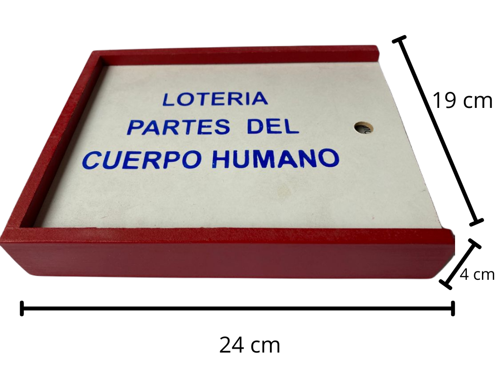 Lotería Partes del Cuerpo Español Ingles