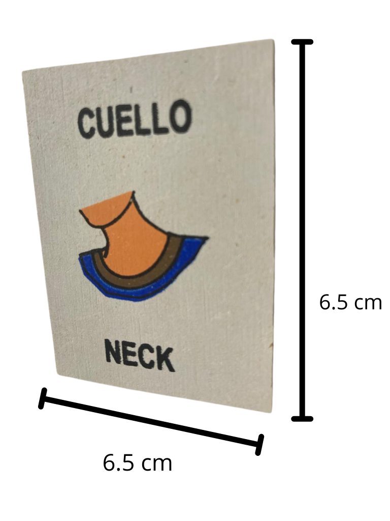 Lotería Partes del Cuerpo Español Ingles