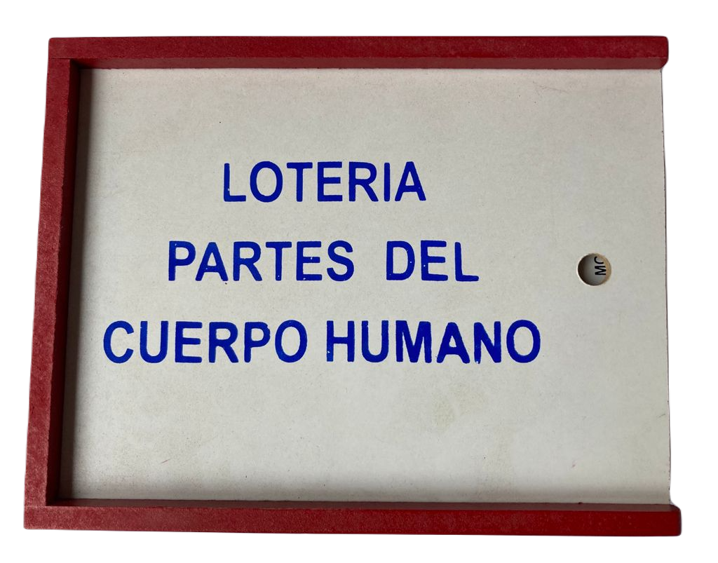 Lotería Partes del Cuerpo Español Ingles