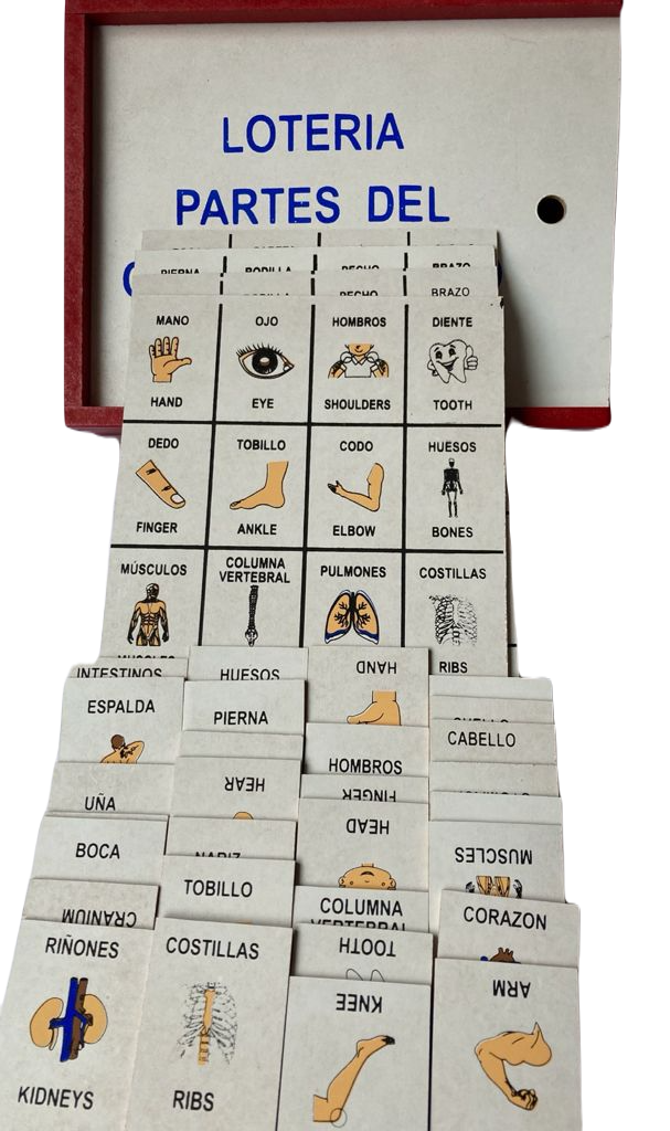 Lotería Partes del Cuerpo Español Ingles