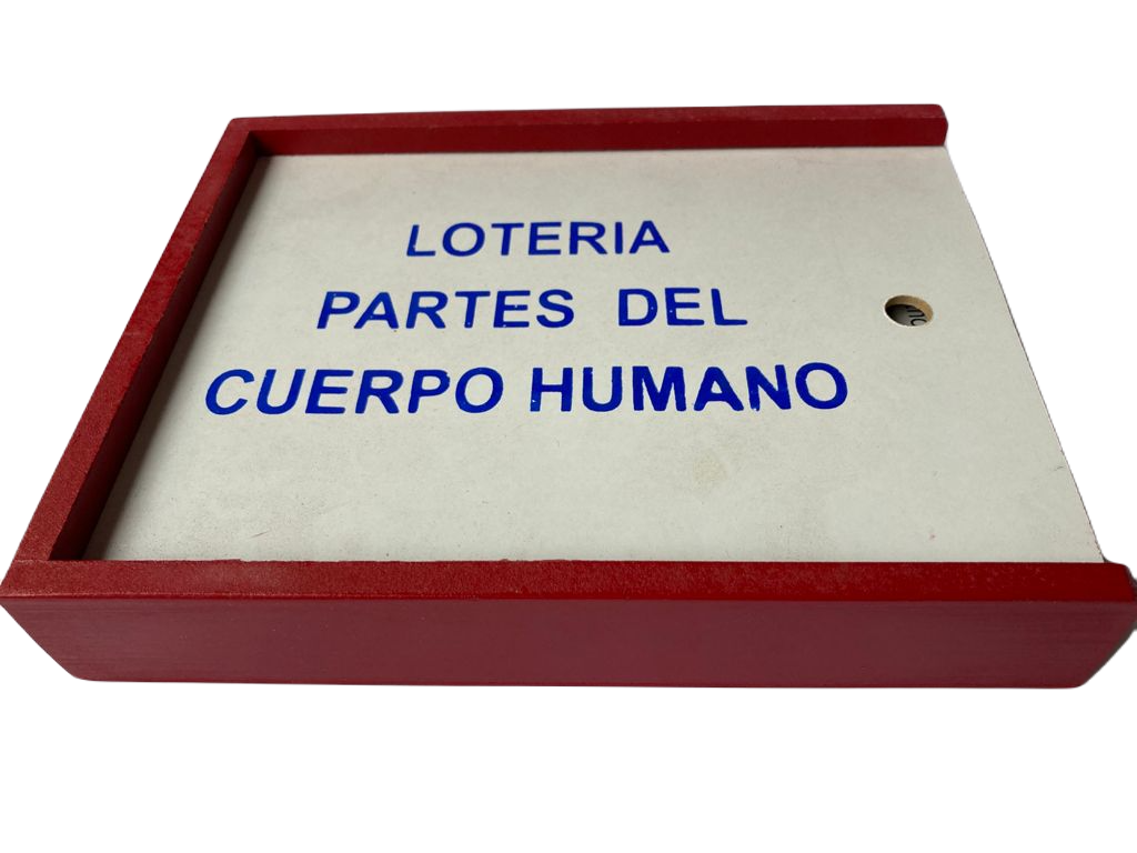 Lotería Partes del Cuerpo Español Ingles